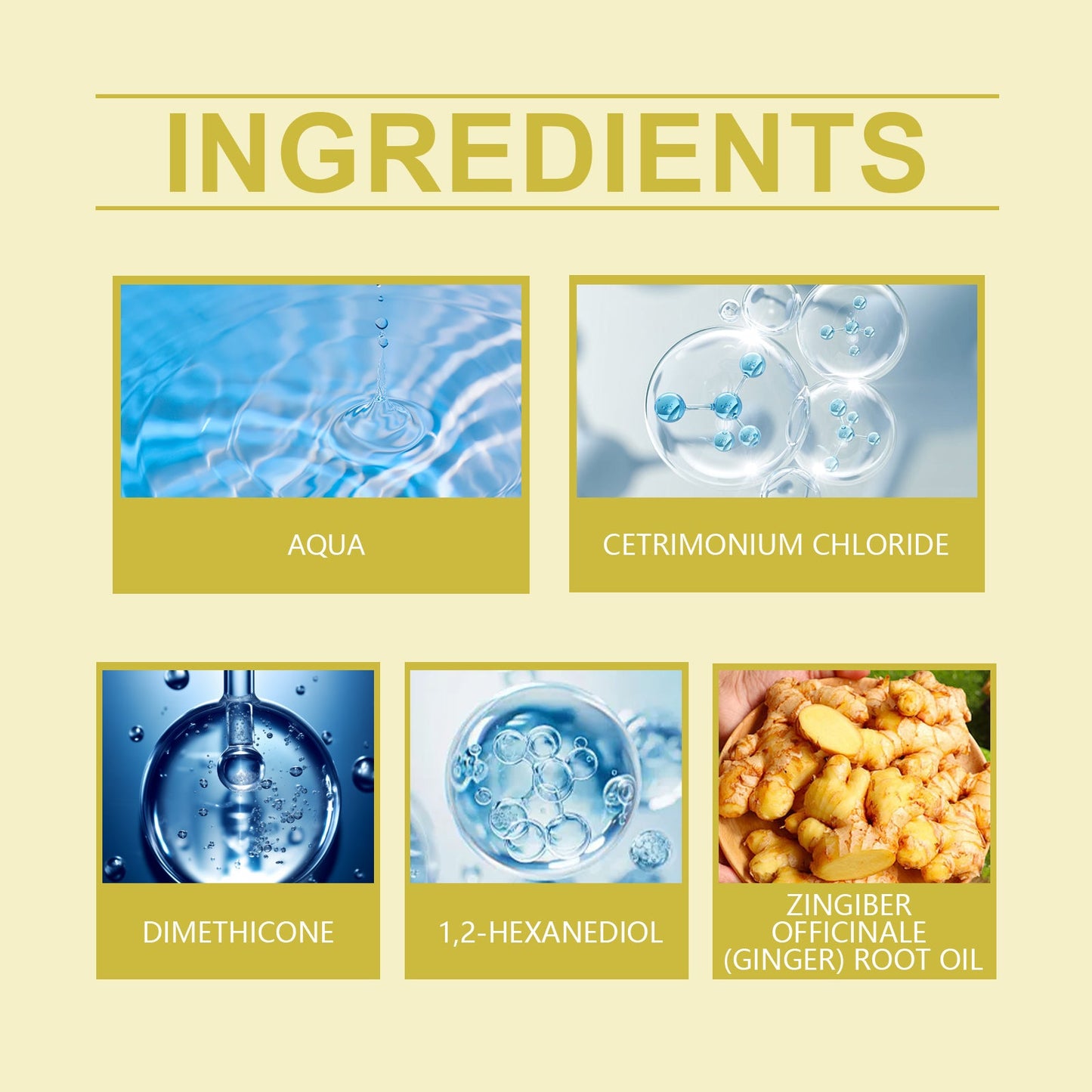 eprolo Après-shampoing gingembre hydratant EELHOE EE-A03-0242-01 Soins cheveux